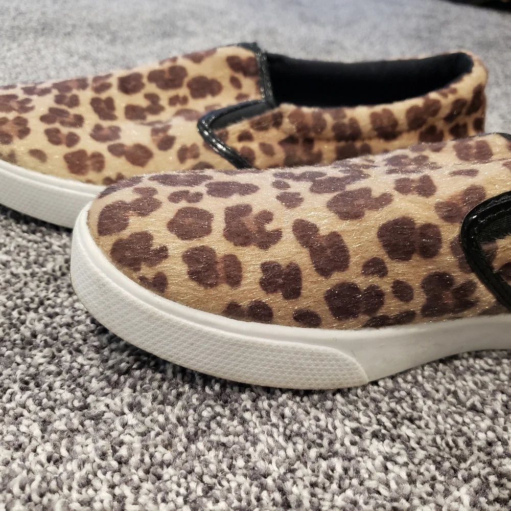 Leopard slides - Picture 2 of 3